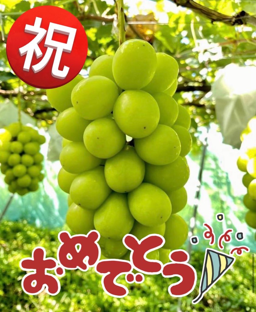 2100housekibako's tweet photo. ＢＤＵ（ぶどう）総選挙2023結果発表‼️
第261回プレゼントキャンペーン開催🎉

🍇応募方法🍇
フォロー＆
このツイートをリポストRT
〆切は２７日
水曜日２４時まで

みんなで選んだ大人気の７種類が入った

【ぶどうの宝石箱 〝神セブン〟１ｋｇ】

７７７７円相当を
抽選で限定７名様に
完全無料でプレゼント🎁✨

🍇ＢＤＵ総選挙２０２３結果発表🍇

１位　シャインマスカット

２位　巨峰

３位　ナガノパープル

４位　ピオーネ

５位　クイーンニーナ

６位　クイーンルージュ

７位　マイハート

みんなで選んだ大人気のぶどうの宝石箱
🎁✨✨

  旬のぶどう達の情報はインスタグラム➡ https://t.co/LpPhEQCazX

🍇ぶどうの宝石箱オンラインストア🍇

ベイス➡️ https://t.co/dDpp9mrTfE

メルカリ➡️ https://t.co/SAyAlZC88Y