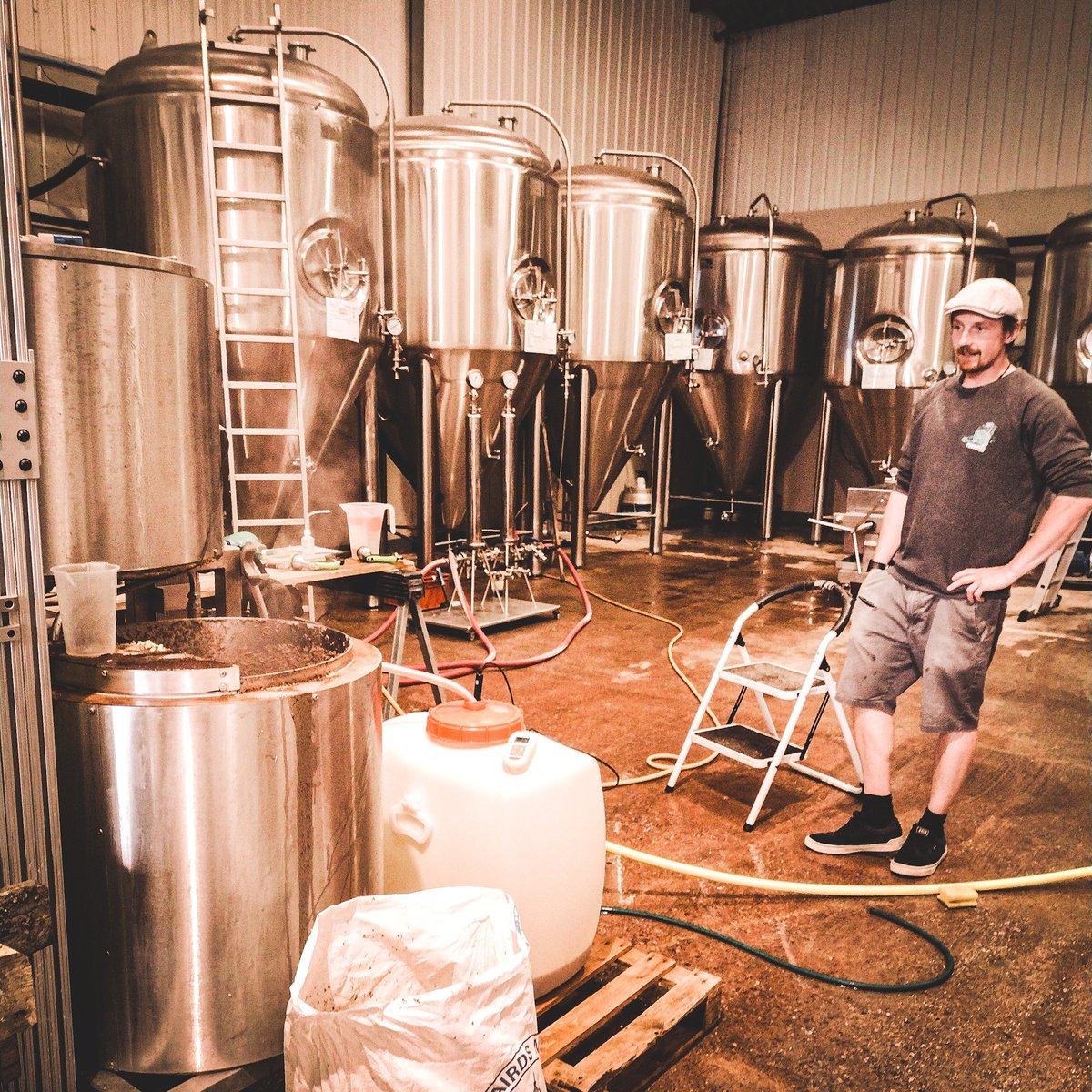 Pilot brew day!
It's actually a limited edition Christmas special going into 750ml bottles.
Warm, sweet, malty, steamy aromas are wafting around. If only social media could do smells. On the other hand ... probably a bad idea.