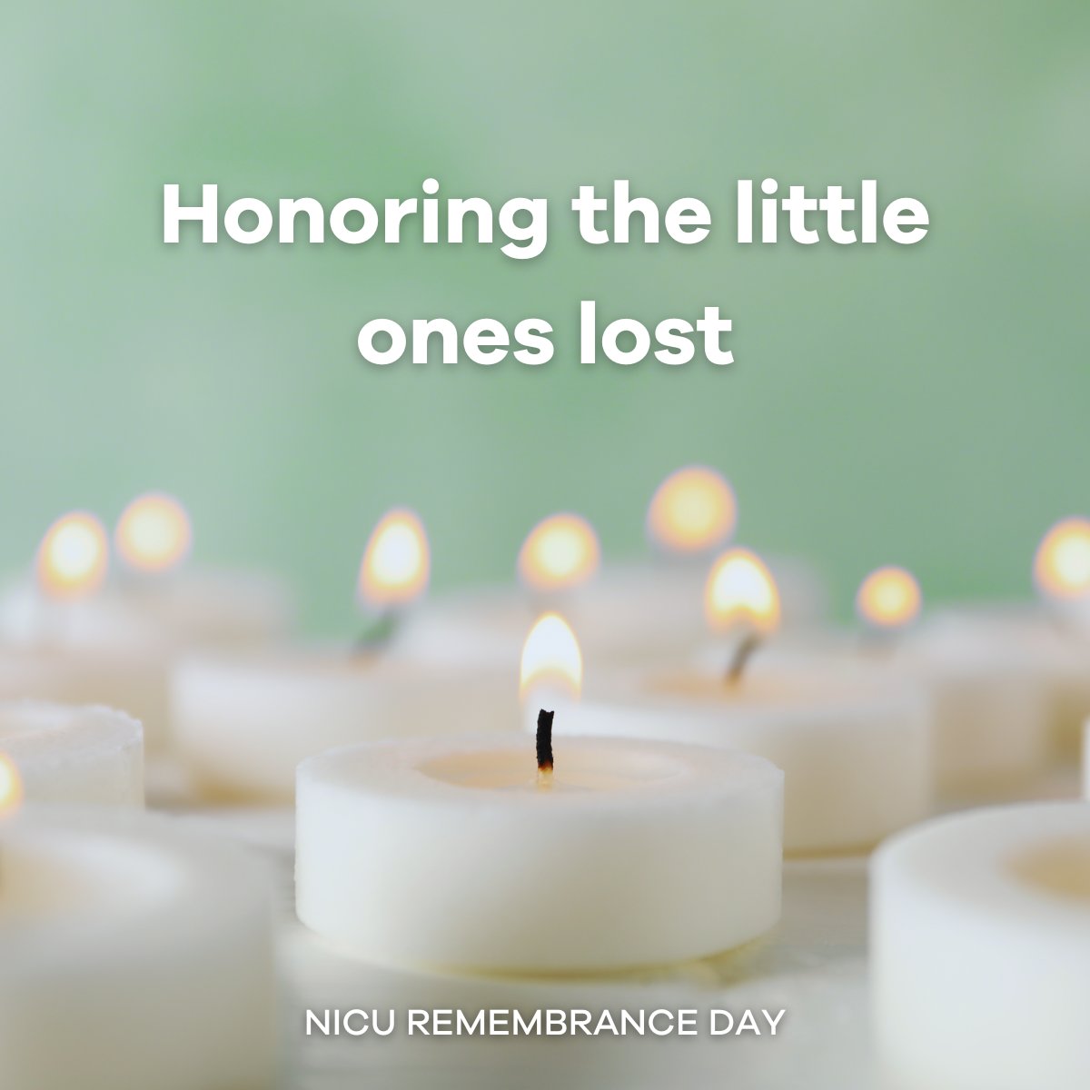 ONYBiotech's tweet photo. This #NICURemembranceDay we honor the little ones lost too soon, and recognize the strength, resilience, and love of the families who have experienced loss during their NICU journey. #TinyWarriors #InOurHeartsForever #NICUAwareness #SupportFamilies #NeverAlone https://t.co/nnI1CtPa89