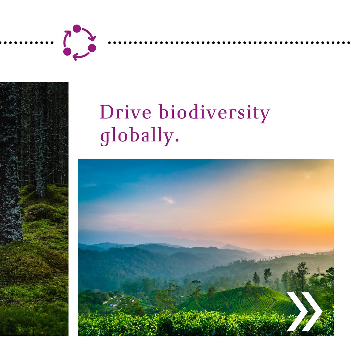Transitioning to next-generation alternative feedstock requires more than simply changing raw materials.
That is why created the ECOHANCE® program.

Visit our site to know more 👉 evonik.com/ecohance