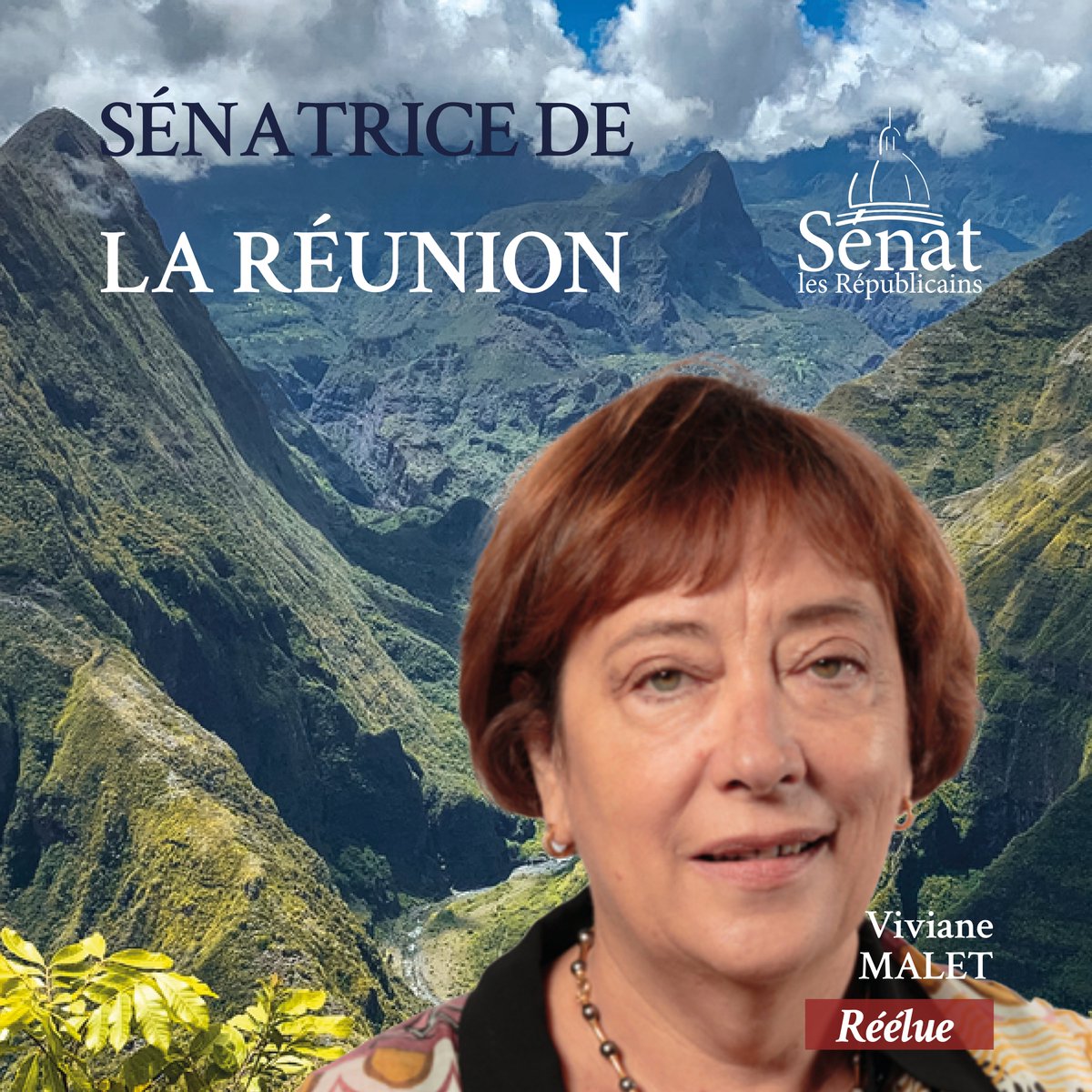 lesRep_Senat's tweet photo. Bravo à Viviane Malet pour sa réélection à La Réunion ! #LR #Senatoriales2023 https://t.co/MVKIpyiovc