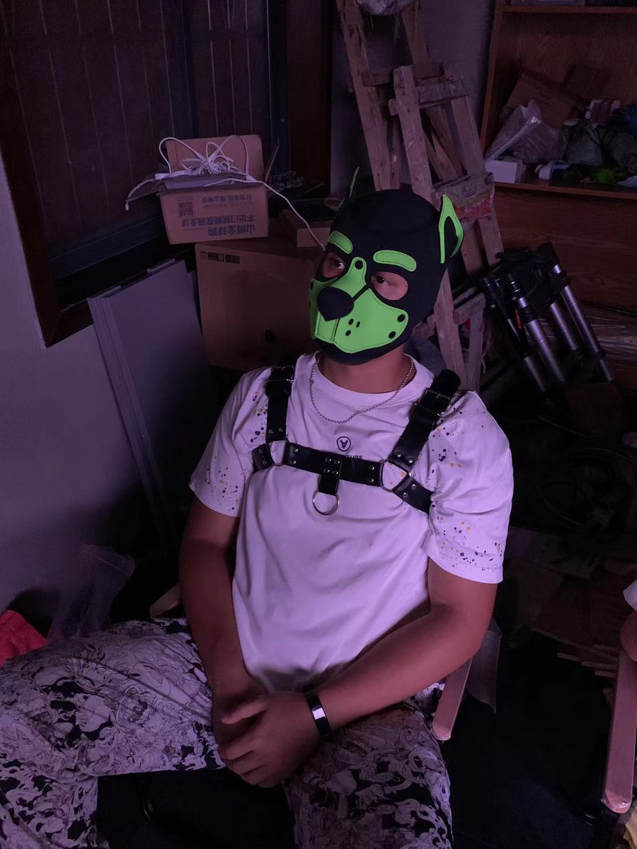 坐在垃圾堆的🐶🐶哈哈哈