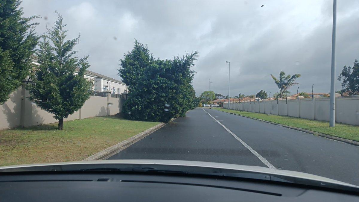 WobblyToe's tweet photo. @Hay_Haylstorm @Mozin407 It has been, even the trees in our street are fallen over and uprooted. https://t.co/VhtefUuD2S