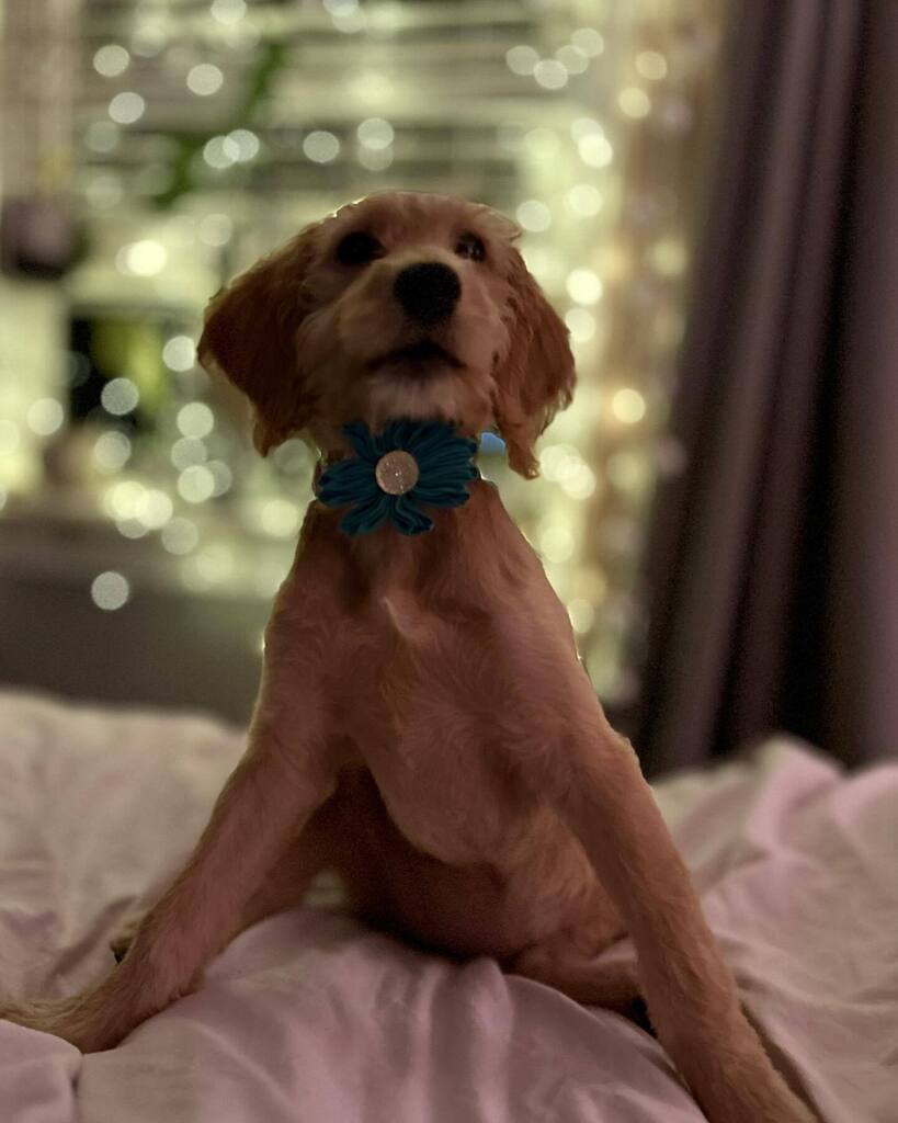 Heather Asbell tweet media