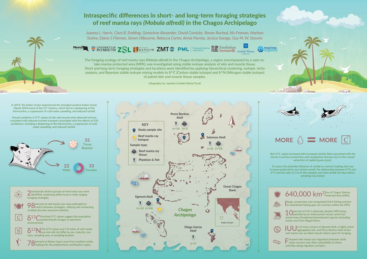 MantaTrust's tweet photo. Our affiliate, Chagos Manta Ray Project, has just released a new publication led by Joanna Harris: 'Intraspecific differences in short- and long-term foraging strategies of reef manta rays (Mobula alfredi) in the Chagos Archipelago'.

https://t.co/mlKEo7Cgir https://t.co/DV1ge4LLUq