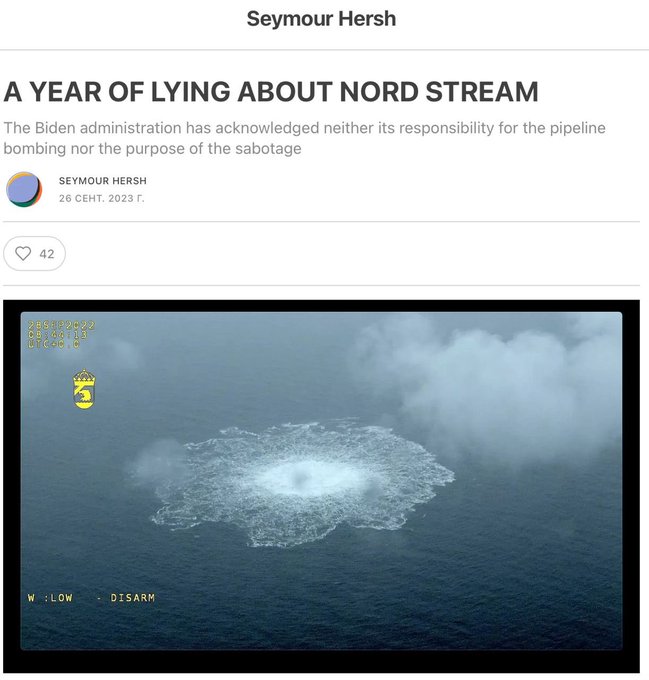 Irudia