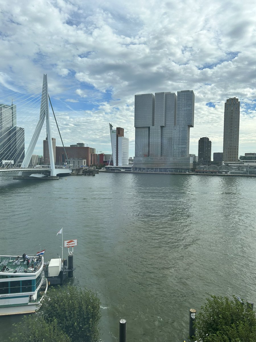 RowenaA's tweet photo. We have all arrived safe and sound in #Rotterdam for this years @TheEAIE conference. The sheep and dragons are now chilling looking out of the window at the #Erasmusbridge!! #cardiffmet #globalopps #eaie2023 https://t.co/rVfd7rtc8B