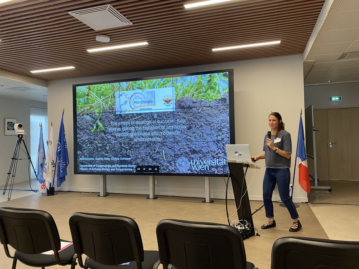GenoLabgem's tweet photo. After a very nice lunch, we are back to presentations with @meli_na_ki speaking of ammonia oxidizing archaea #MicroScope20years https://t.co/H3rAepw4g3