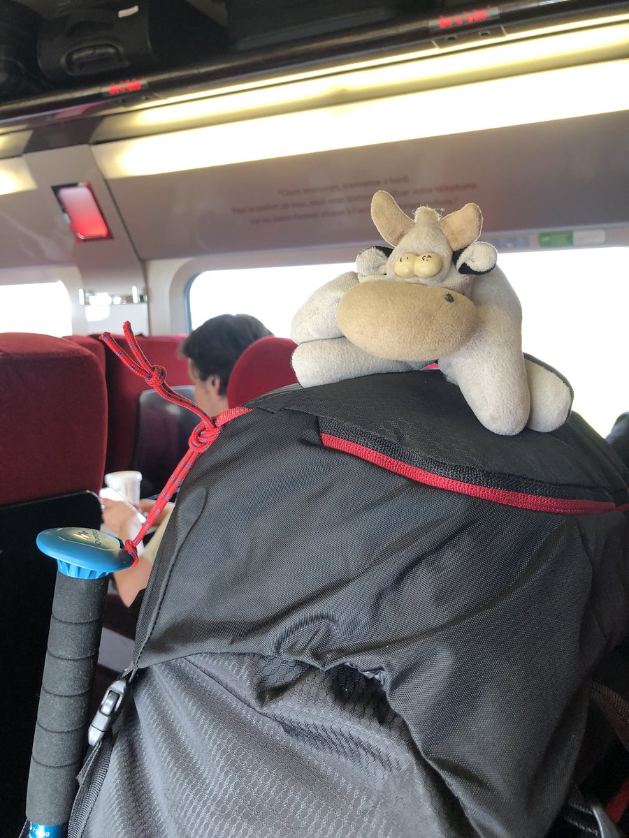 pelayoroc's tweet photo. Hoy he decidido parar y empezar a caminar. Las próximas semanas me perderé por el #caminodesantiago 800 km buscando algo q no se lo que es. Nos vamos de aventura y solo espero encontrar alguna respuesta a alguna pregunta que aún no he hecho o no me he atrevido a hacer :) https://t.co/hzGFV5Azf2
