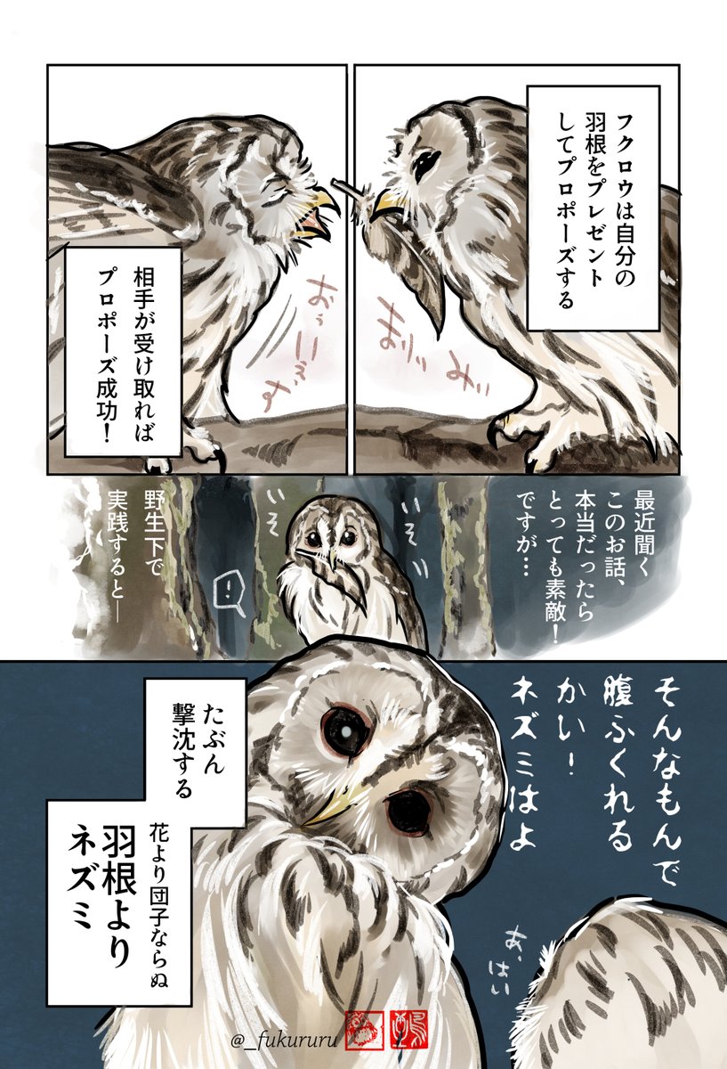 「フクロウは自分の羽根をプレゼントしてプロポーズする」。
最近バズって広まった素敵なお話。本当ならオシャンティが過ぎるぜフクロウパイセン!だけど、ところがどすこい…!
久しぶりの〜それは変だよ〜フクロウ豆知識🦉 