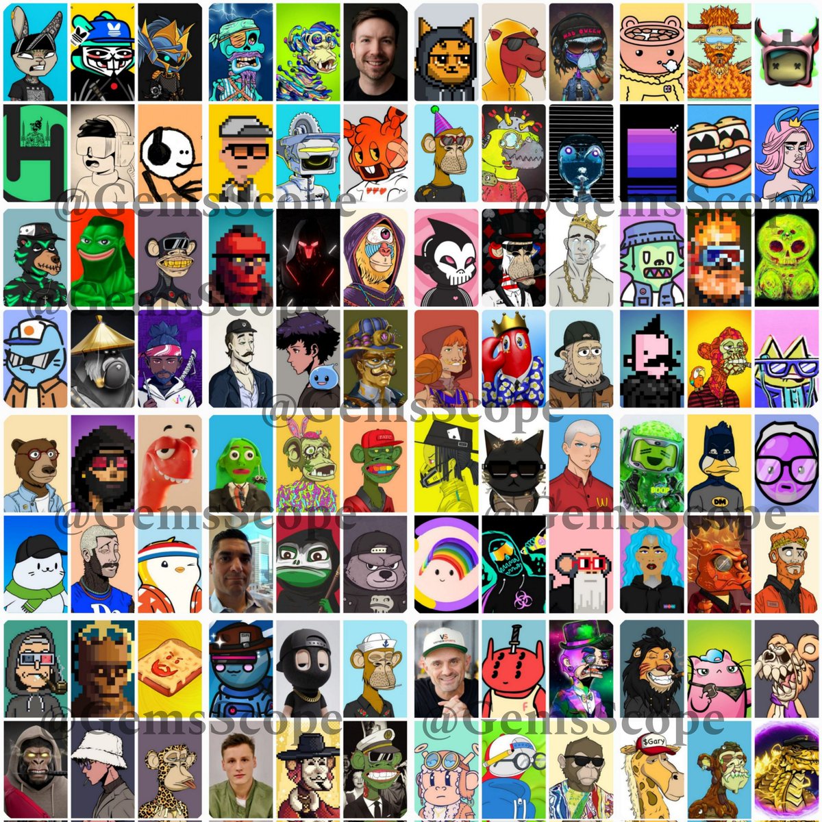 GemsScope tweet media