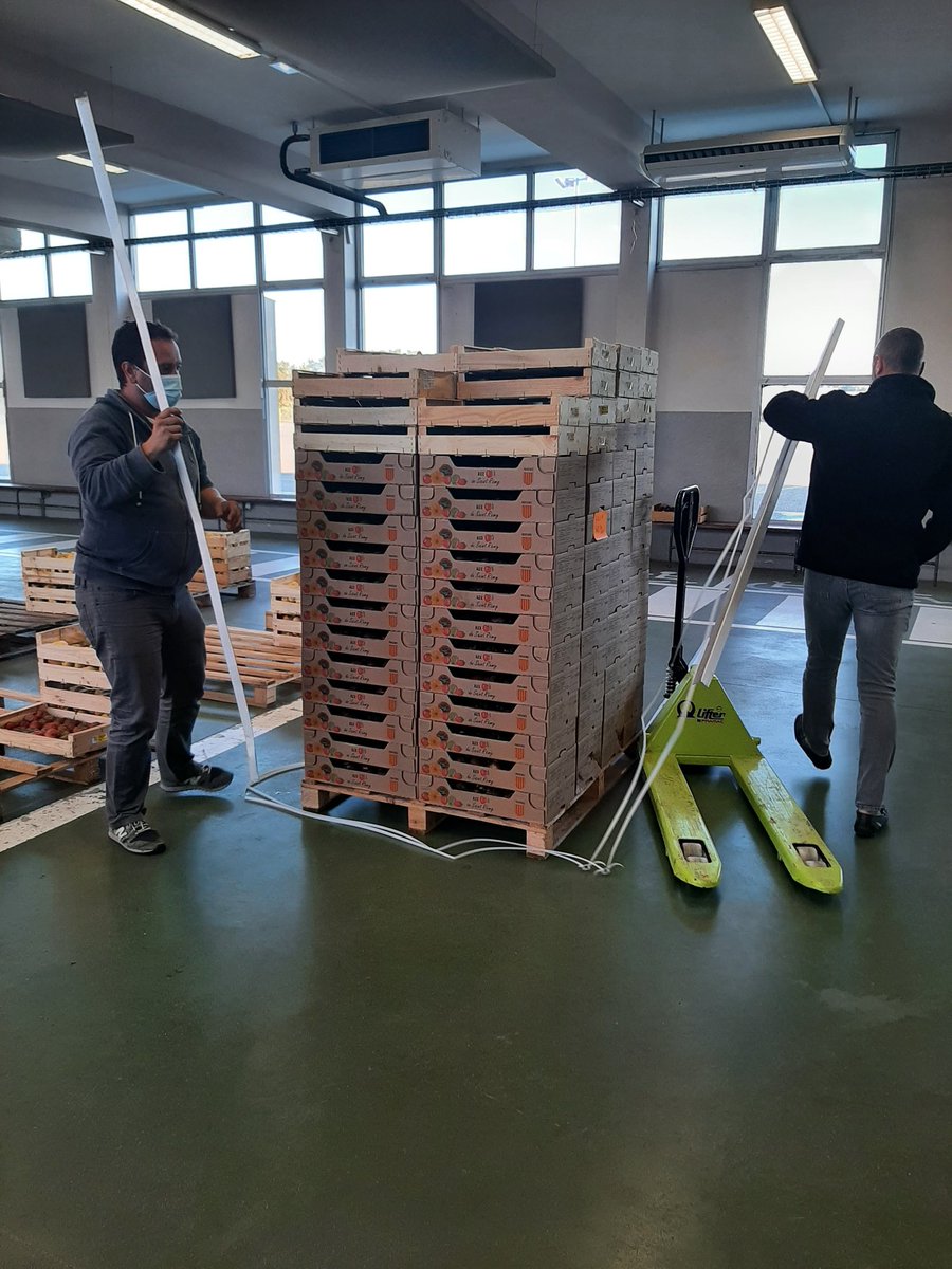 SOLAAL_'s tweet photo. Ça s'active depuis tôt ce matin au @MINChateau13160 pour les #JNDA2023. De très beaux produits ultra-frais 🍅🍇🍎🥬
#DonAgricole https://t.co/a54RsopVCa