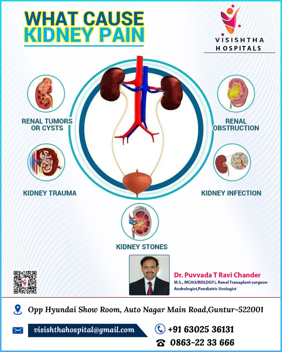 What Cause Kidney Pain ?
Contact : + 91 63025 36131 ,0863-2233666
Gmail  :  visishthahospital@gmail.com
#kidneypain #prostatecancer #bestdiabetescenter #prostategland
#kidneystones #KidneyProblem#prostateglandproblems