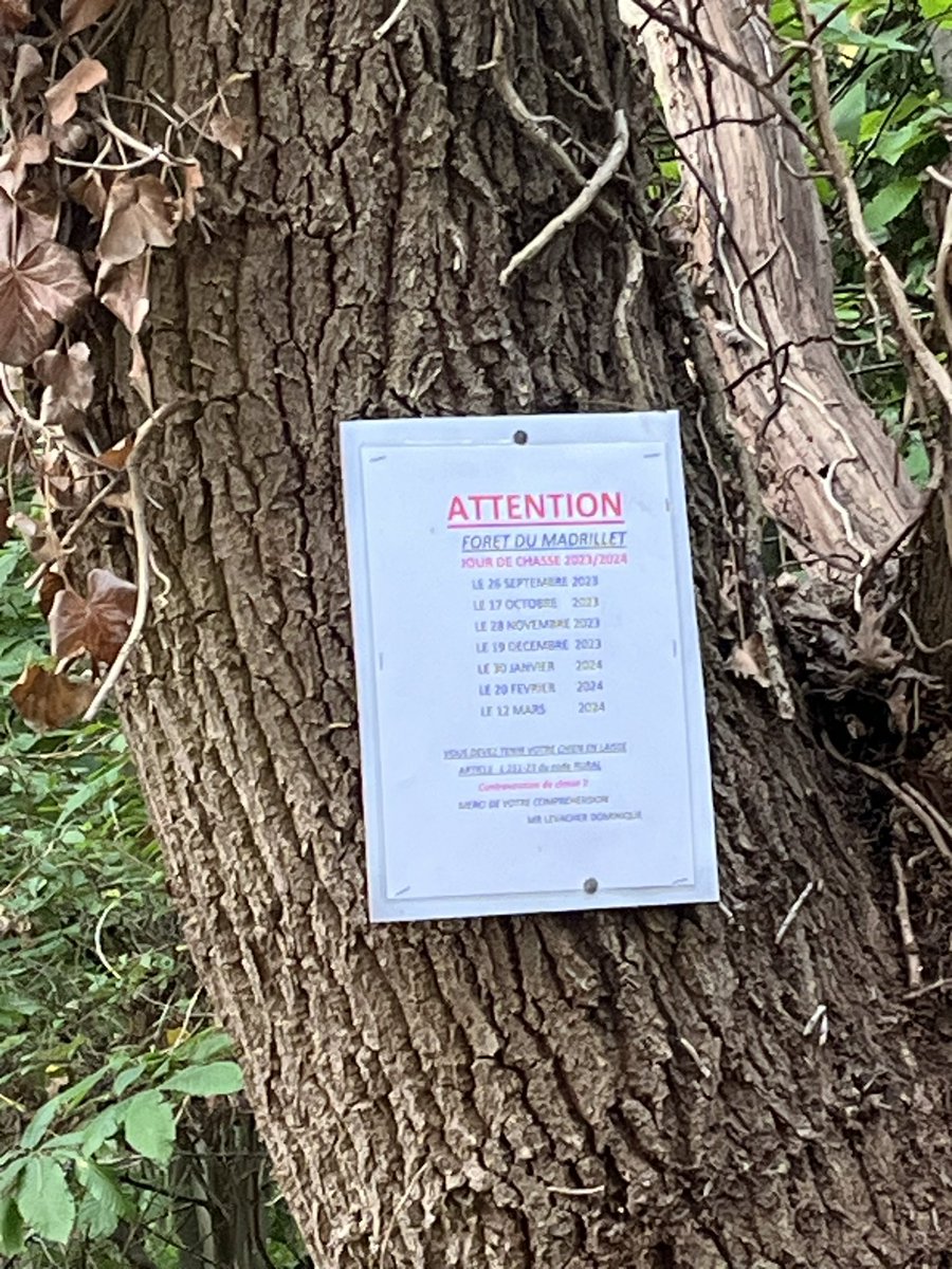 troupikups's tweet photo. Avis aux 🚶🚴‍♂️🦮👟@SabineRouenVelo Chasse en cours forêt @MairieSER @MetropoleRouenN le site @ONF_Officiel  https://t.co/ulbpbT3YFy n’est pas à jour et les affichages sur les arbres ne mentionnent rien de prévu aujourd’hui. https://t.co/3wNxiiK211