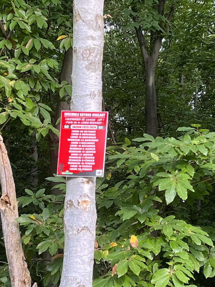 troupikups's tweet photo. Avis aux 🚶🚴‍♂️🦮👟@SabineRouenVelo Chasse en cours forêt @MairieSER @MetropoleRouenN le site @ONF_Officiel  https://t.co/ulbpbT3YFy n’est pas à jour et les affichages sur les arbres ne mentionnent rien de prévu aujourd’hui. https://t.co/3wNxiiK211