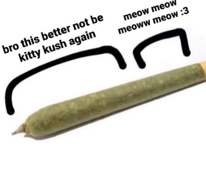 ShitpostGate's tweet photo. https://t.co/jAa0wUofn3