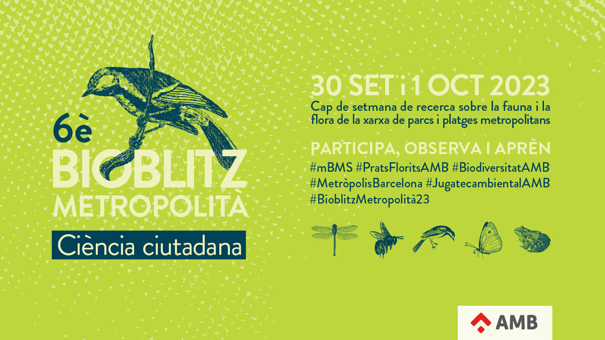 Com és la biodiversitat dels parcs i les platges metropolitans?
S'acosta el bioblitz metropolità! 
T'esperem el proper cap de setmana a les Jugatecambientals. 
Un cens d'organismes fet entre tothom
#CiènciaCiutadana