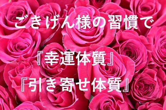 sanaclear tweet picture