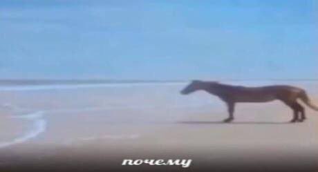 буквально он