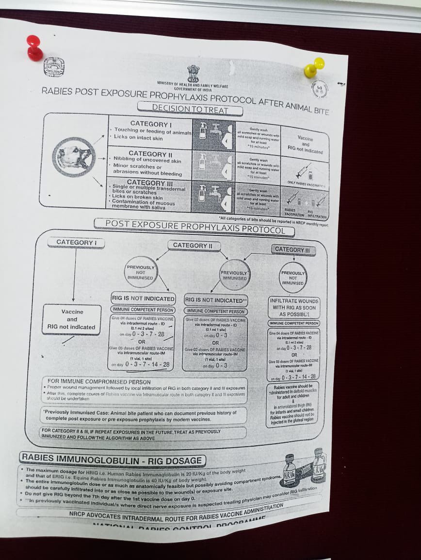 we-receive-100-dog-bite-cases-daily-in-our-emergency-pet-dog-bites