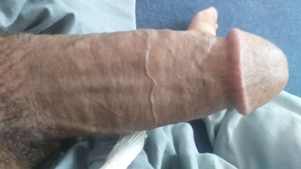 تعال موص حلالك عادي