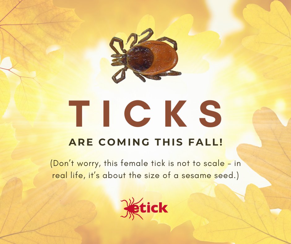 eTickCA's tweet image. 🍂 It’s that time of year again when #ticks begin searching for a meal before winter! #BlackleggedTicks are very active in Eastern Canada during the fall months. To lay eggs in the spring, they need to feed, then burrow under the leaf litter where they will be insulated by snow.