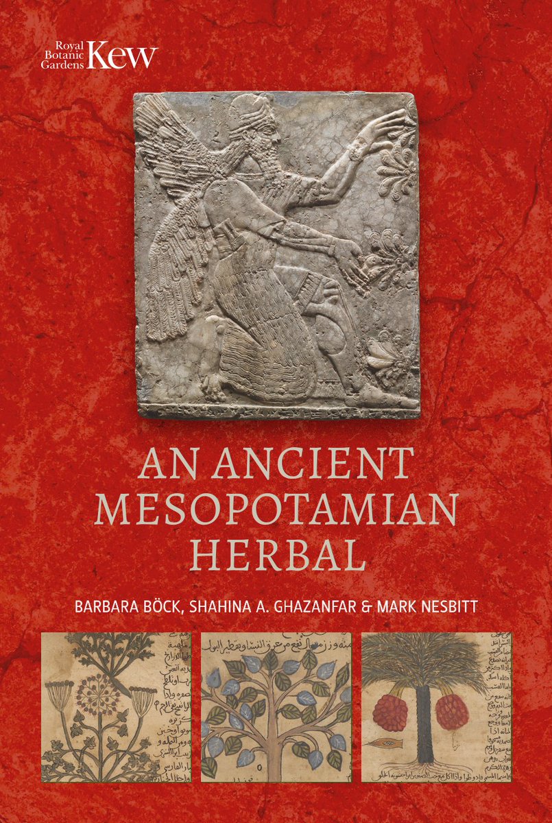 Always a nerve-wracking but exciting moment, the final, final proofs of a book: An Ancient Mesopotamian Herbal will be out in November 2023. Kudos to my brilliant co-authors Barbara Böck <a href="/CSIC/">CSIC</a> and Shahina Ghazanfar @KewScience books.google.co.uk/books/about/An…