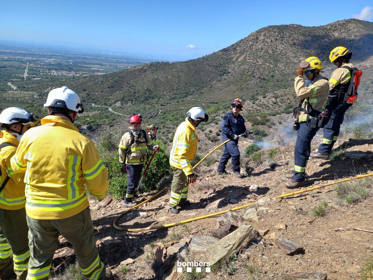 bomberscat tweet picture