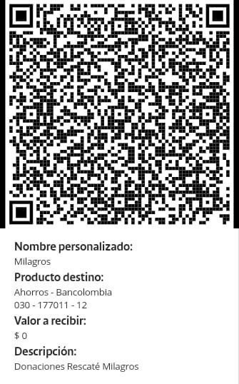 Im&aacute;genes sensibles ‼️  Un amigo en quien conf&iacute;o mucho, me env&iacute;a esta historia. Encontraron a esta perrita<a href="/tag/educaci%C3%B3nderechofundamental"class="tags"><span>#educaci&oacute;nderechofundamental</span></a>