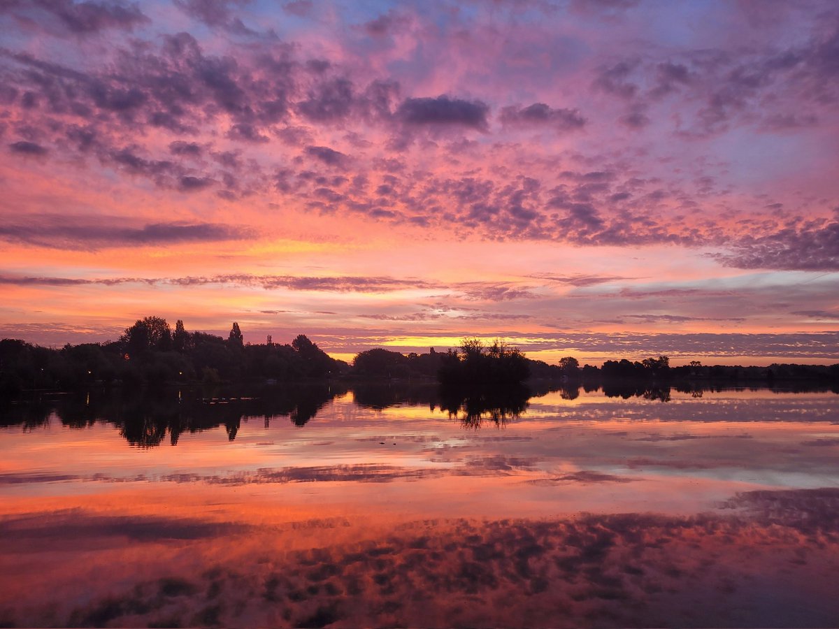 BoersmaVera's tweet photo. Wat een kadootje op de vroege morgen! https://t.co/iPj7ip4J4Y