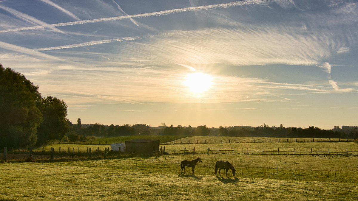 RyckmansNoel's tweet photo. #vrtweer #henis 8u25 https://t.co/vVzWxZw4SL