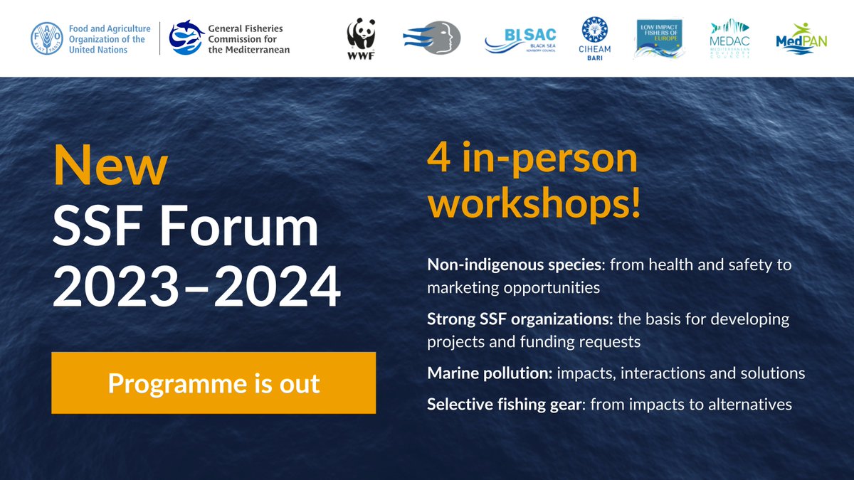 UN_FAO_GFCM's tweet photo. 📢 THE #SSFFORUM 2023-2024 PROGRAMME IS OUT

Today marks the anniversary of the #RPOA_SSF adoption by most of #Mediterranean &amp; #BlackSea countries! What a great occasion to unveil the 4 in-person workshops - crafted BY #SSF stakeholders FOR #fishers❗️

➡️ https://t.co/g8CTiYWUPX https://t.co/MbR7jrG3mF