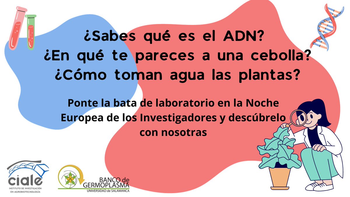 ¡Tenemos todo listo! Si vosotros también queréis resolver estas preguntas, nos vemos el viernes en la #NocheEuropeaDeLosInvestigadores de la <a href="/usal/">Universidad de Salamanca</a> 

🗓️ Viernes, 29 de septiembre.
🕧 De 18 h a 22 h.
📍 Plaza del Barrio del Oeste, Salamanca.
