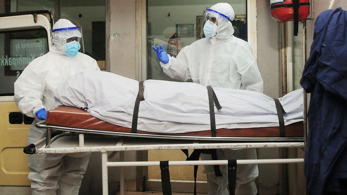 ChippenhamPharm's tweet photo. India's rapid response against the Nipah virus is crucial. Learn more about this deadly virus and the current containment efforts. Stay informed and safe https://t.co/JoY4FLlNiQ 

#NipahVirus #PublicHealthUpdate #Pandemic https://t.co/T2TaiDR0Ok