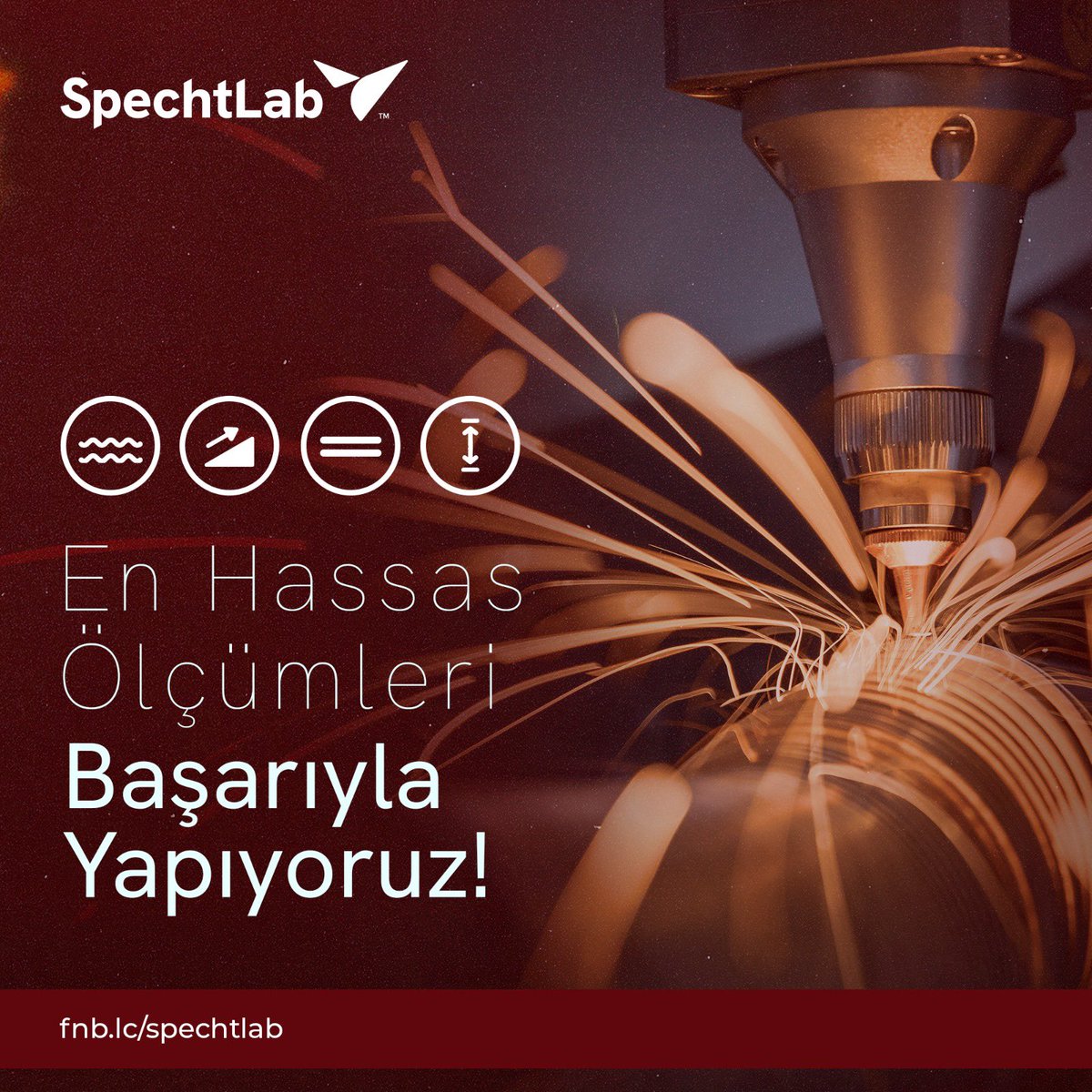 SpechtLab tweet media