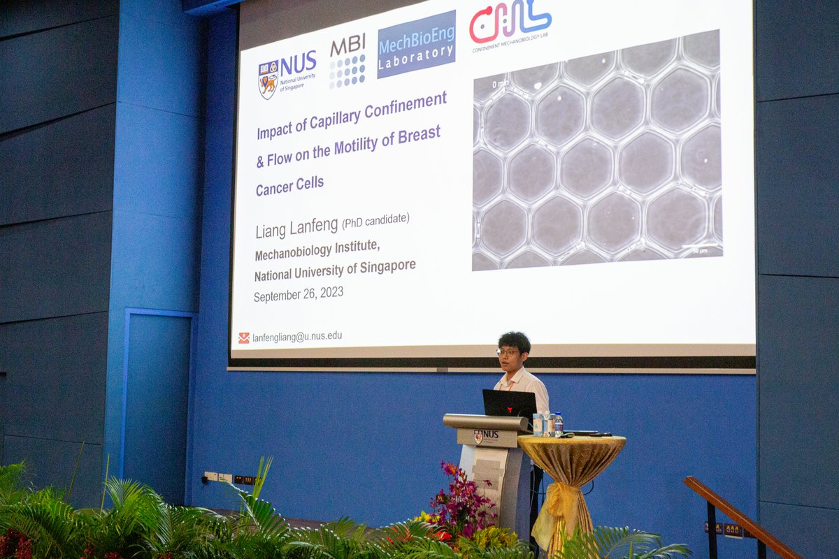 Mechanobiology Institute (@mbisg) on Twitter photo Lanfeng Liang from <a href="/CTLimLab/">CT Lim</a> <a href="/ConfinementLab/">Confinement Mechanobiology Lab at MBI</a> used a microfluidic capillary bed-on-a-chip to reveal how highly metastatic breast cancer cells can maintain their motility and when exposed to capillary flow, due to high expression of the shear stress mechanosensor protein TRPM7 🤽 Lanfeng Liang from <a href="/CTLimLab/">CT Lim</a> <a href="/ConfinementLab/">Confinement Mechanobiology Lab at MBI</a> used a microfluidic capillary bed-on-a-chip to reveal how highly metastatic breast cancer cells can maintain their motility and when exposed to capillary flow, due to high expression of the shear stress mechanosensor protein TRPM7 🤽