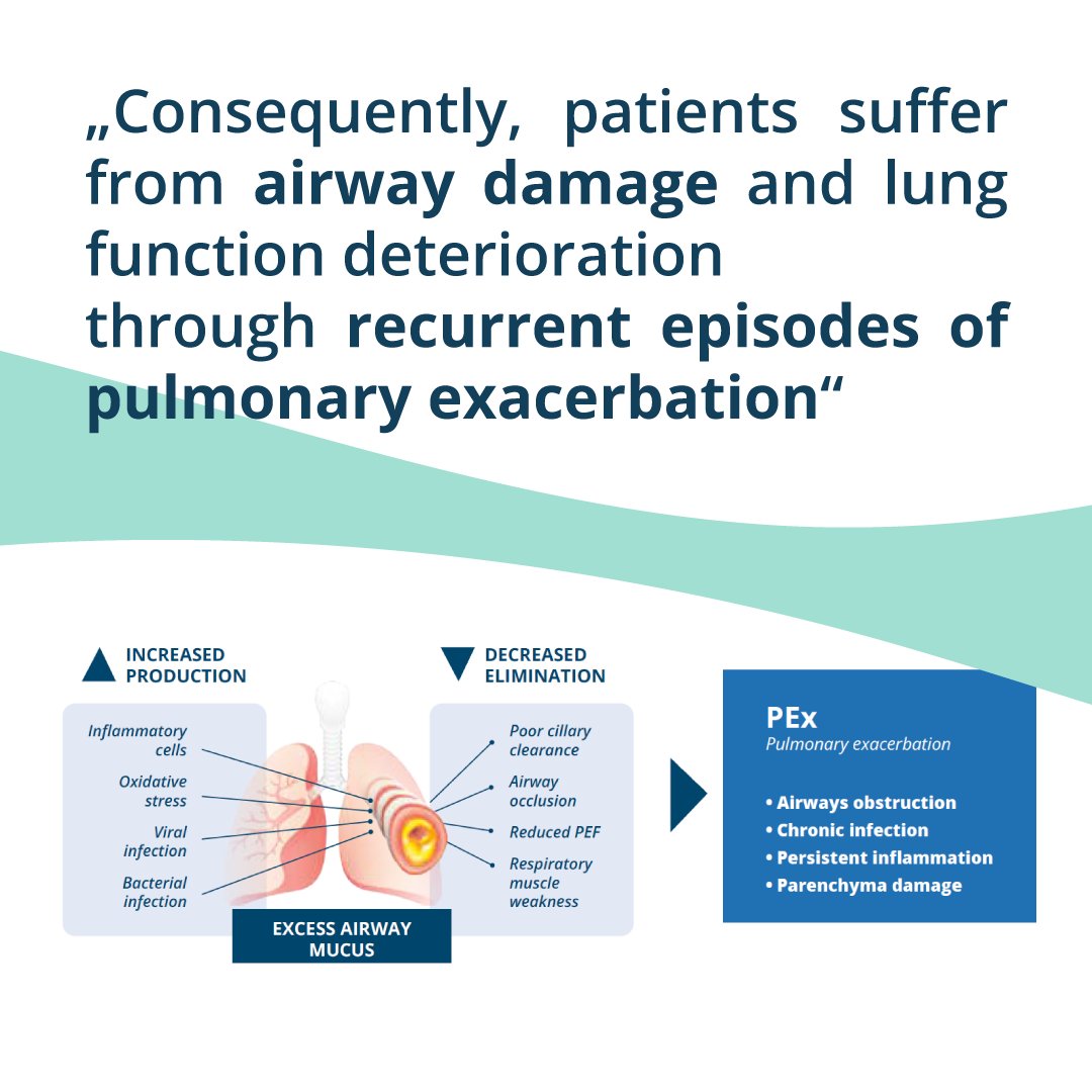 Physio Assist tweet media