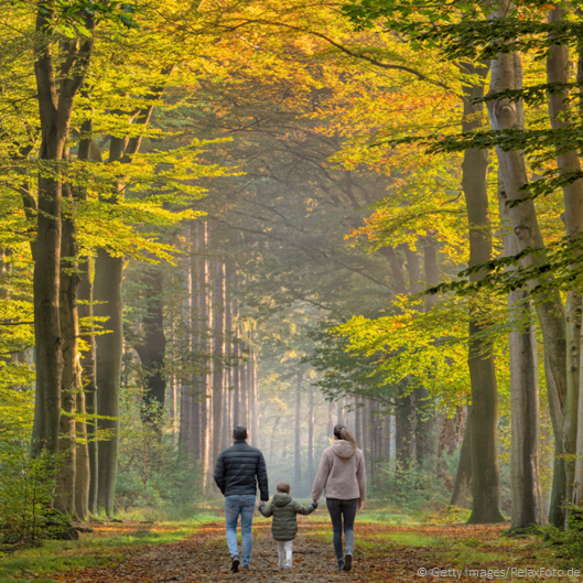 Today is #WorldEnvironmentalHealthDay 🌍🌱 Our health and the environment are strictly connected Learn more about our #ZeroPollution Action Plan with 9 flagship initiatives and 33 actions for people & #ForOurPlanet, of which we already completed 2/3 👉 europa.eu/!8PwfCq