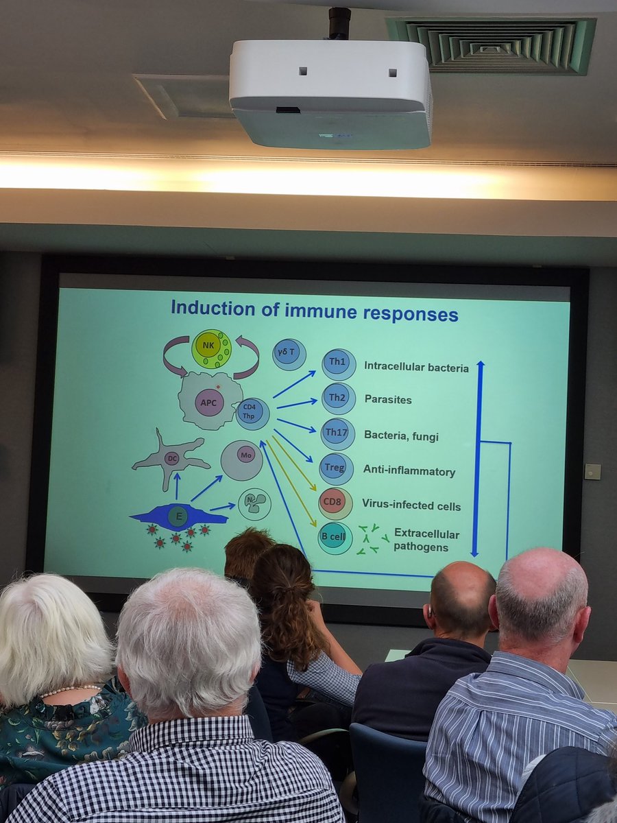 Phillipa Page tweet media