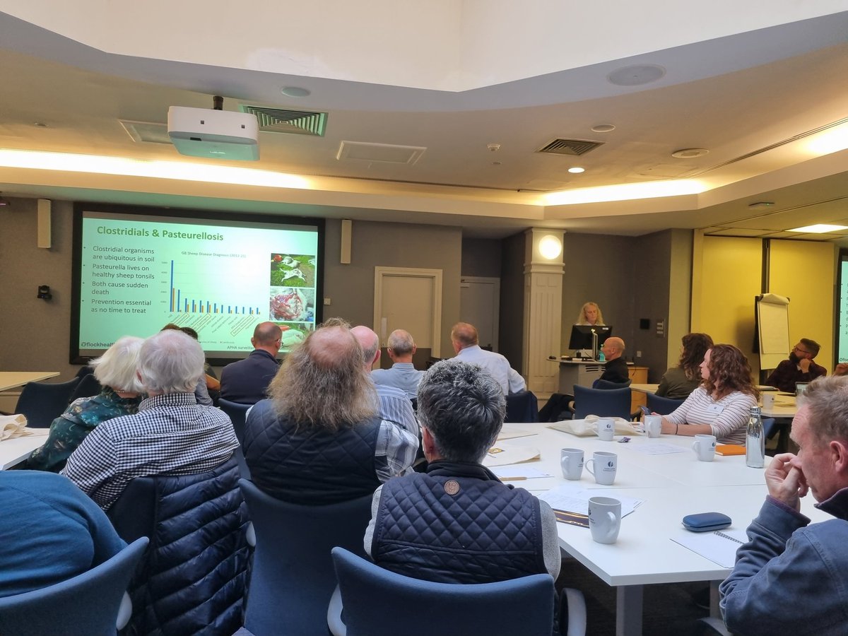 Phillipa Page tweet media