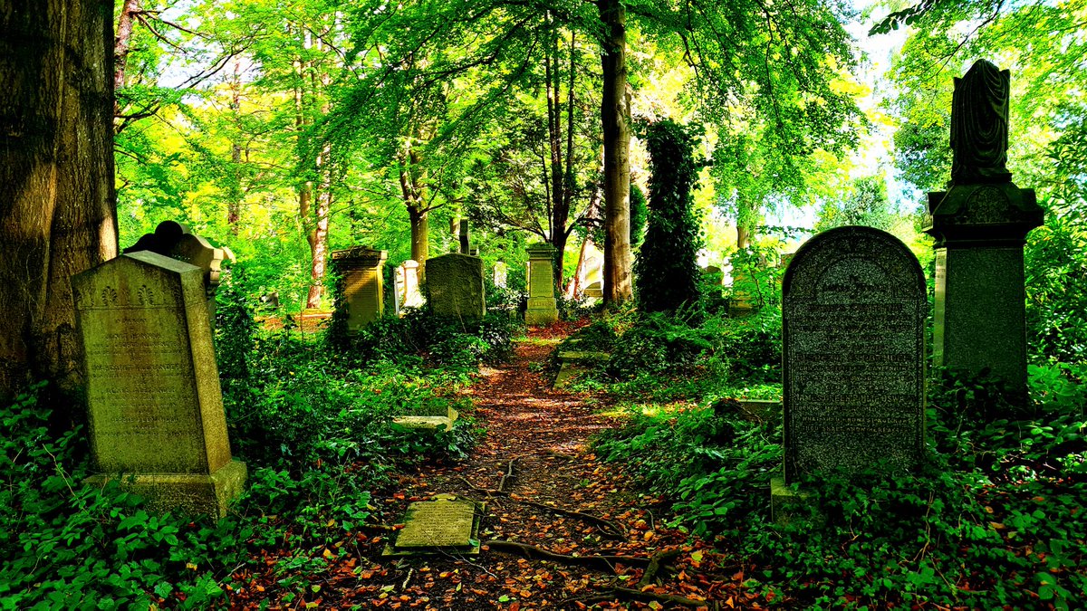 is_glasgow's tweet photo. Cathcart Cemetery in Glasgow. A wonderfully atmospheric space with many notable burials.

Cont./

#glasgow #cathcart #cathcartcemetery #cemetery #graveyard #sevillafc #mccolls #scottishfootball https://t.co/L8XhmGARn3
