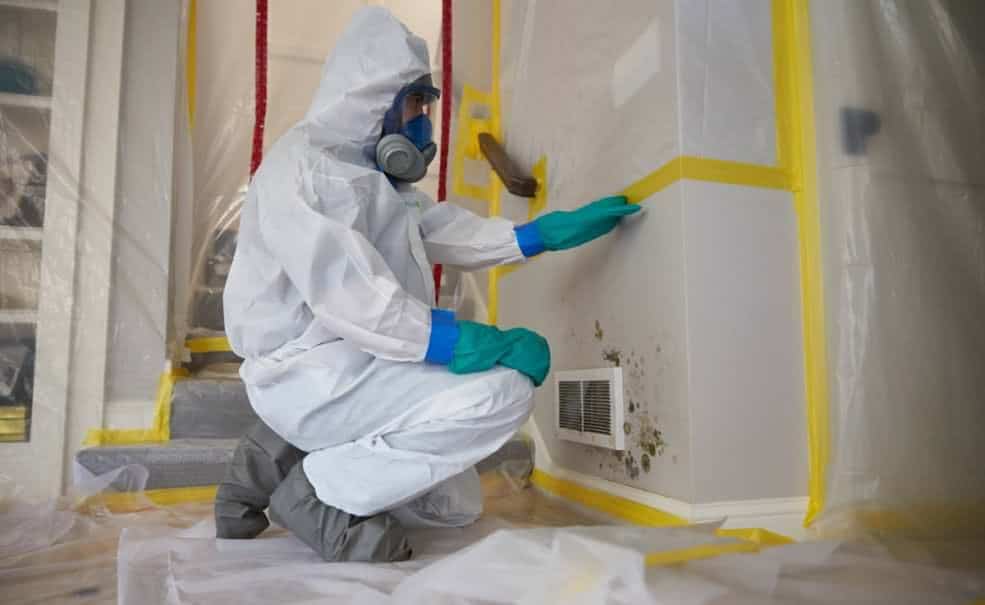 Mold damage restoration - Brooklyn Water Damage

Reclaim your space, restore your peace with #BrooklynWaterDamage. We're your go-to experts for #mold damage restoration.💪Contact us now!

🔗cleanmyflood.com/index-brooklyn…
📞(347) 455-9898

brooklyn-water-damage.business.site/posts/81028898…