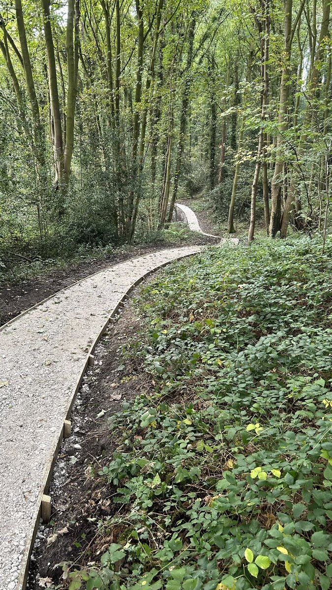 darren whiteley tweet media