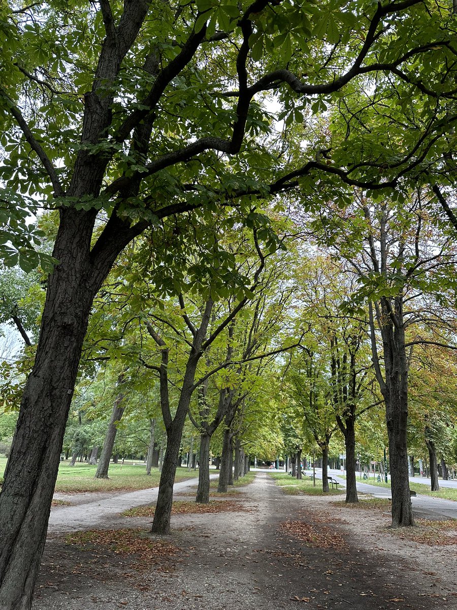 Larisa Haupt tweet media