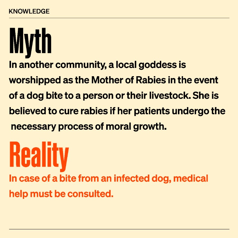 WOAH's tweet photo. Throughout history and across the world, rabies 🐕 has often been plagued with myths and folklore. This year, in anticipation of World #Rabies Day, we're shining the spotlight on some of these legends.
#WRD #WorldRabiesDay