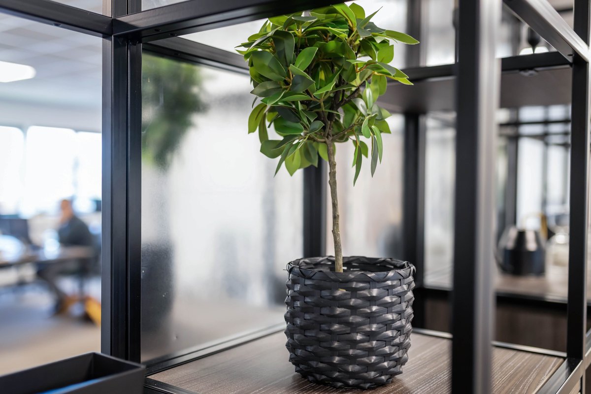 Eatock Design & Build tweet media