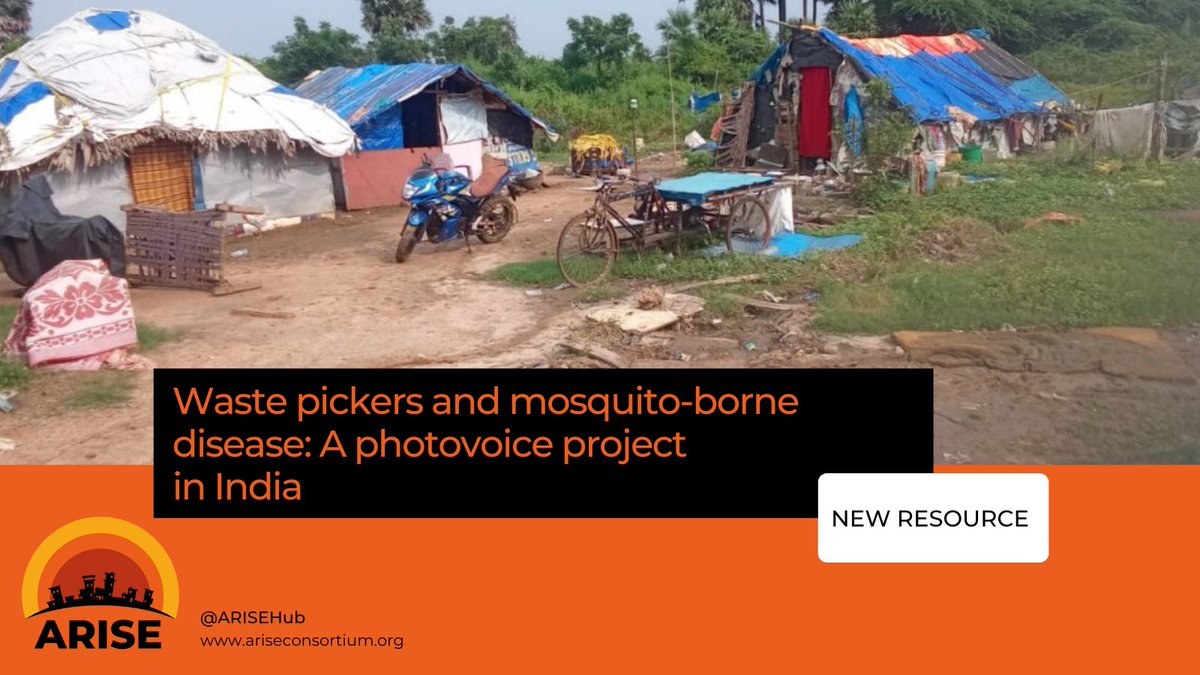 Exciting new project! Our team has put together this stunning PhotoVoice exhibition where members of waste picking communities explore the hazards of mosquito-borne disease. Please check it out and share!
ariseconsortium.org/learn-more-arc…