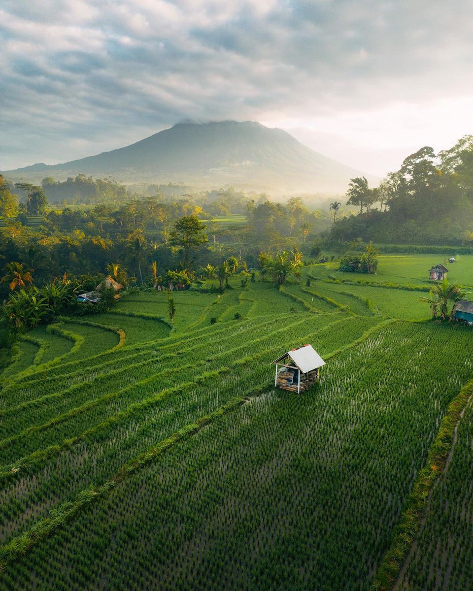 Wonderful Indonesia tweet media