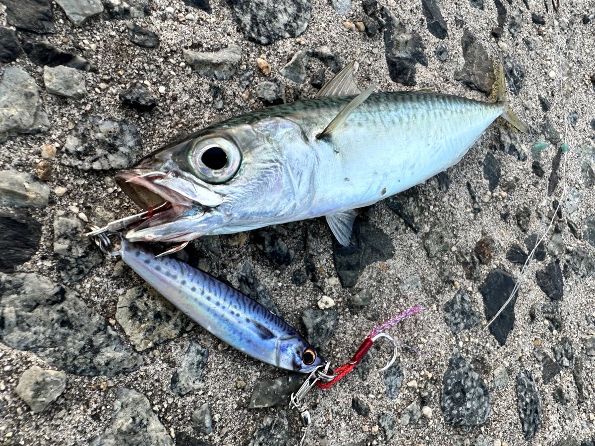 【即購入OK❣️】ジグ　30個セット　ショアラバ　ジグパラ　投次郎　傷あり 即購入OK❣️】ジグ 30個セット ショアラバ ジグパラ 投次郎 傷あり