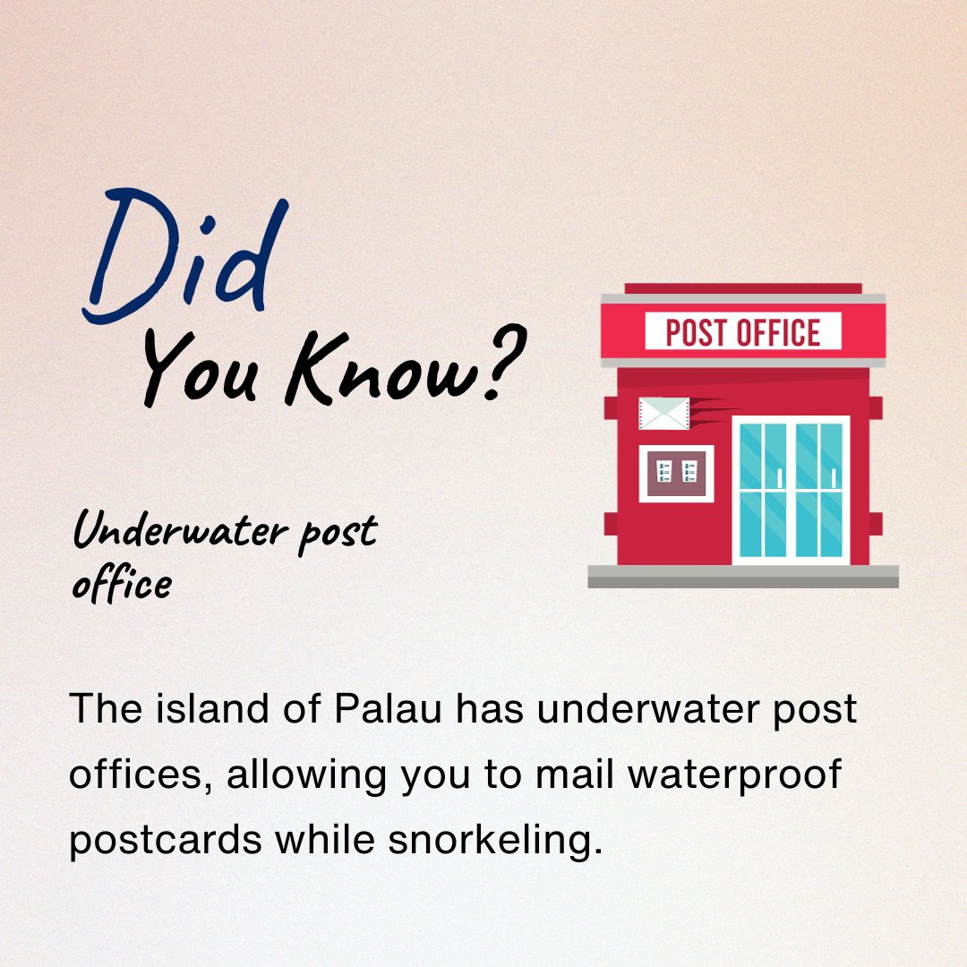 abbotholidays's tweet photo. Dive into a world of adventure in Palau! 🏝️✉️ Explore the enchanting underwater post offices and send your love from beneath the waves. 🌊💌

Follow us for more updates:- @abbotholidays

#Abbotholidays #PalauParadise #UnderwaterPostcards #SnorkelAndSend #IslandAdventures https://t.co/ijaJOOMuCc